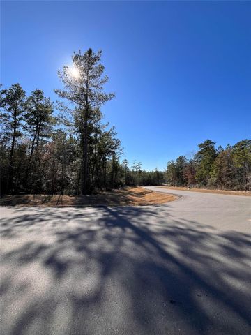 86 Coyote Run, Willis, TX 77378