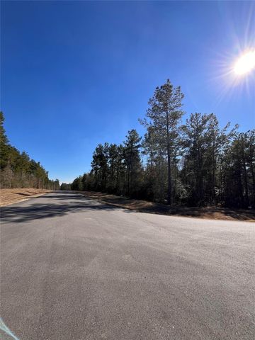 86 Coyote Run, Willis, TX 77378