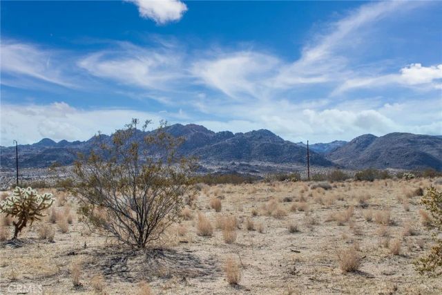 2222 Valley Vista, Johnson Valley, CA 92285