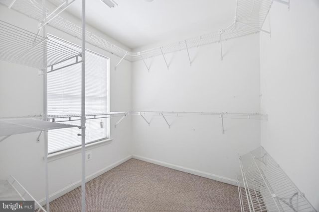 6265 WHITE BIRCH RD, Eldersburg, MD 21784