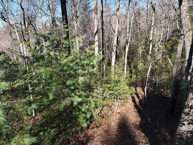Lot 34 Honeysuckle Drive, Blairsville, GA 30512