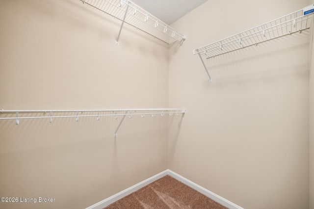 7203 Wynde Manor Ct, Louisville, KY 40228