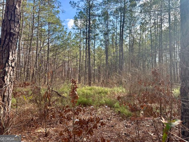 10891 Veterans Memorial Highway, Lithia Springs, GA 30122