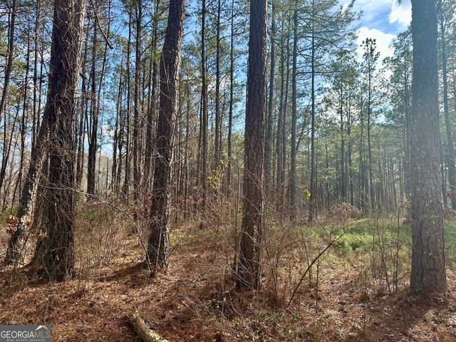 10891 Veterans Memorial Highway, Lithia Springs, GA 30122