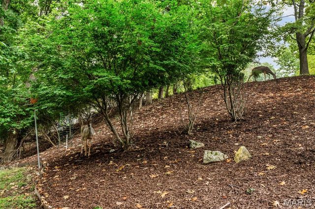404 Gunnison Gorge Drive, Ballwin, MO 63011