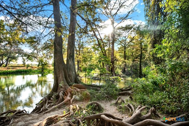 730 E Mather Street B101, New Braunfels, TX 78130