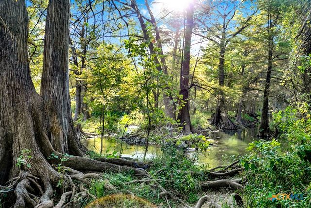 730 E Mather Street B101, New Braunfels, TX 78130