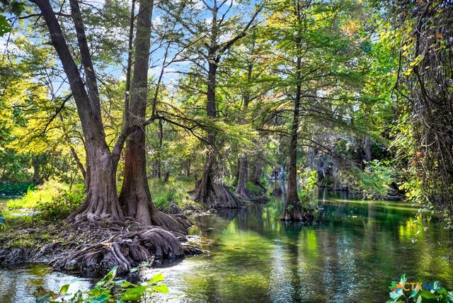 730 E Mather Street B101, New Braunfels, TX 78130