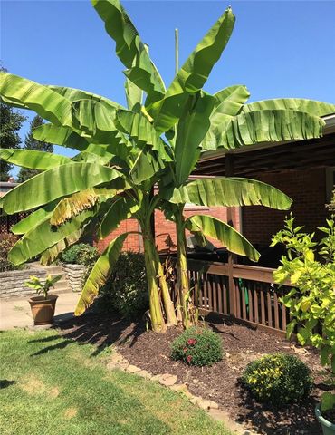 422 Dunbar Dr., Wilkins Twp, PA 15235