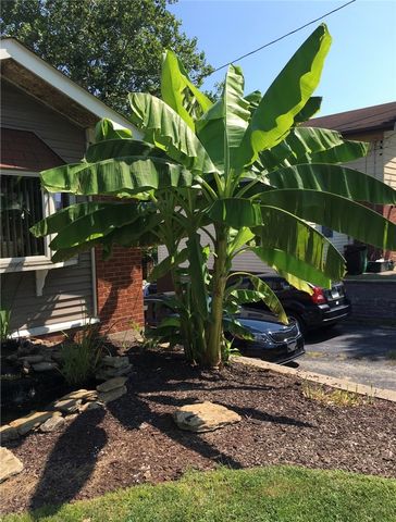 422 Dunbar Dr., Wilkins Twp, PA 15235