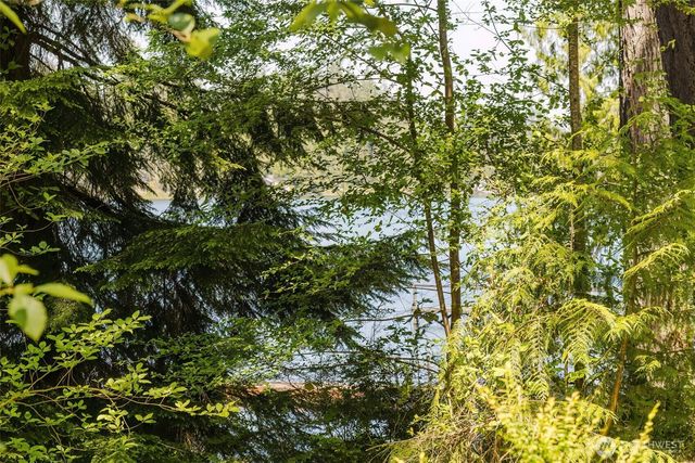 401 E Trails End Drive, Belfair, WA 98528