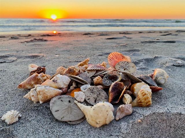 500 THE ESPLANADE N 405, Venice, FL 34285