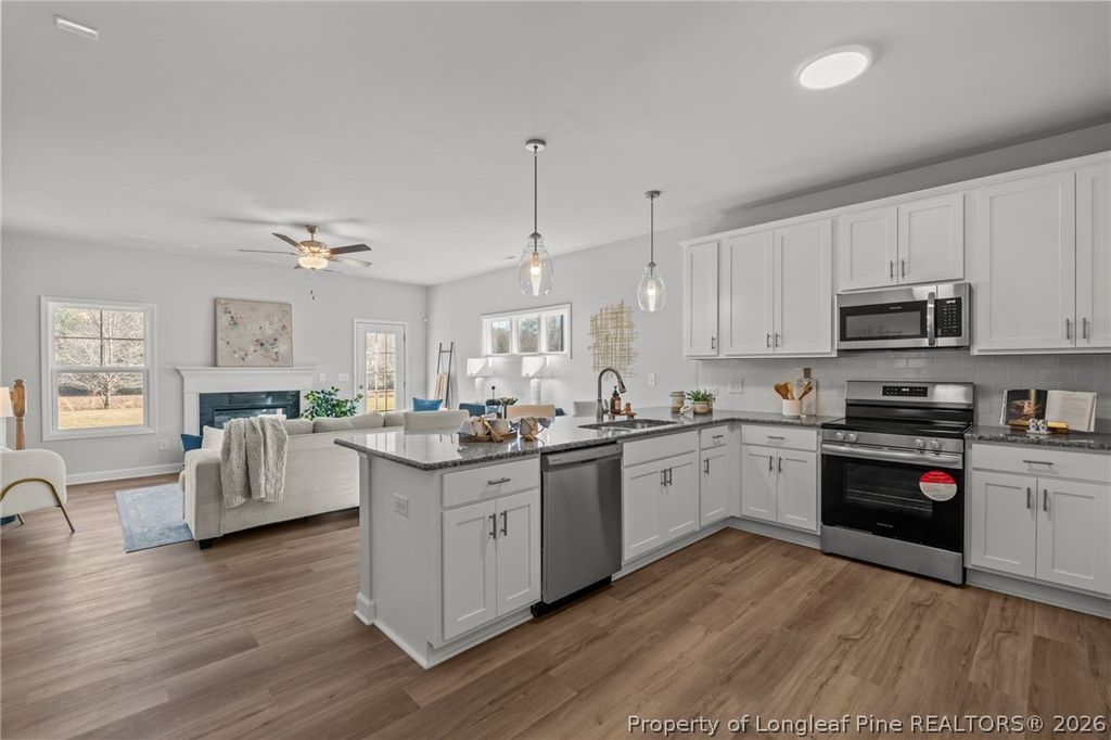 298 Elijah Way, Vass, NC 28394 — photo 13