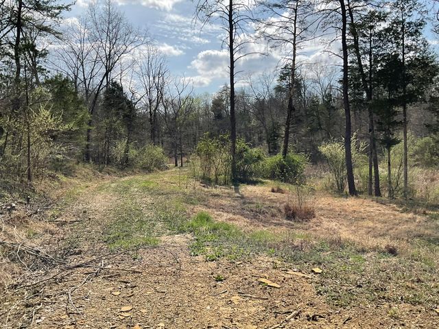 281 Adams Road, Owingsville, KY 40360