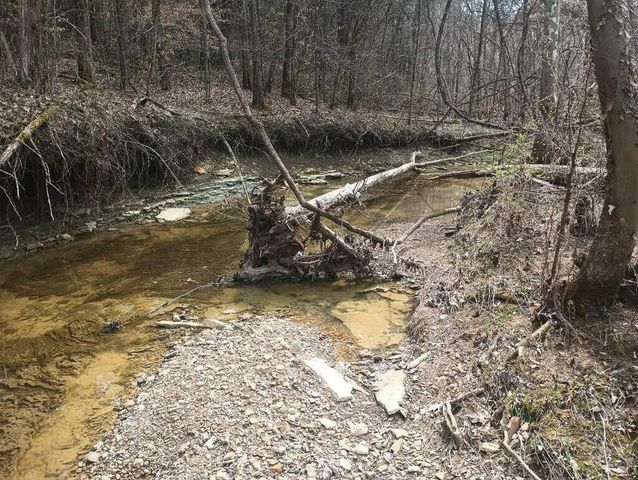 281 Adams Road, Owingsville, KY 40360