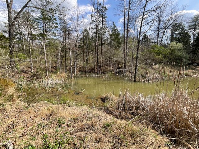 281 Adams Road, Owingsville, KY 40360