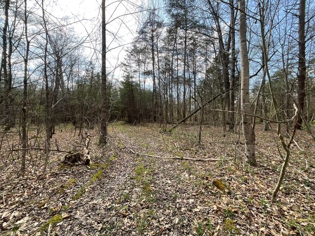 281 Adams Road, Owingsville, KY 40360