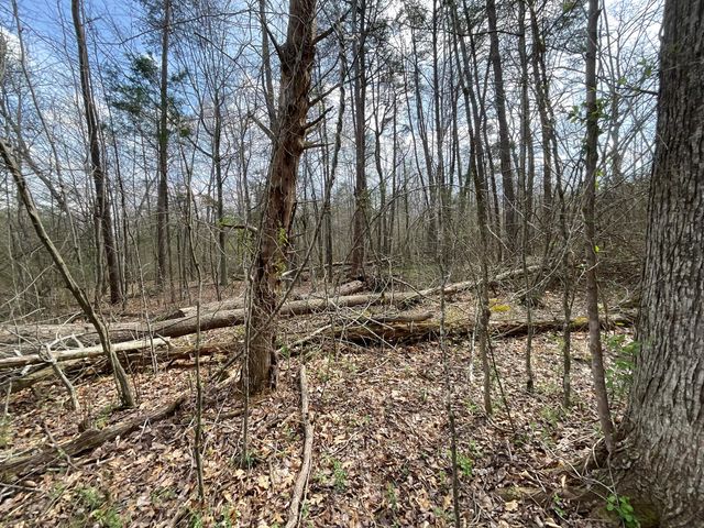 281 Adams Road, Owingsville, KY 40360