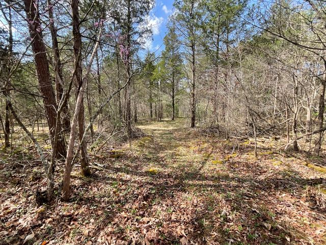 281 Adams Road, Owingsville, KY 40360