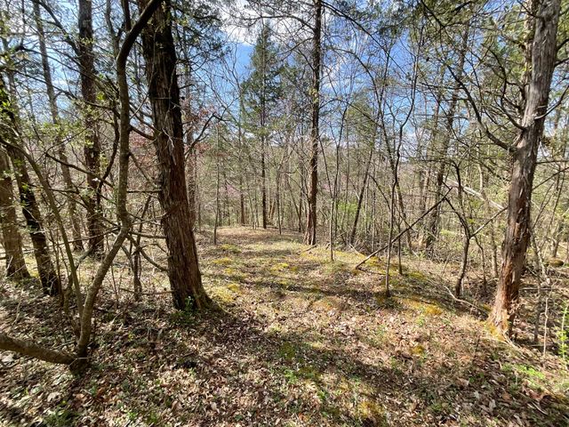 281 Adams Road, Owingsville, KY 40360