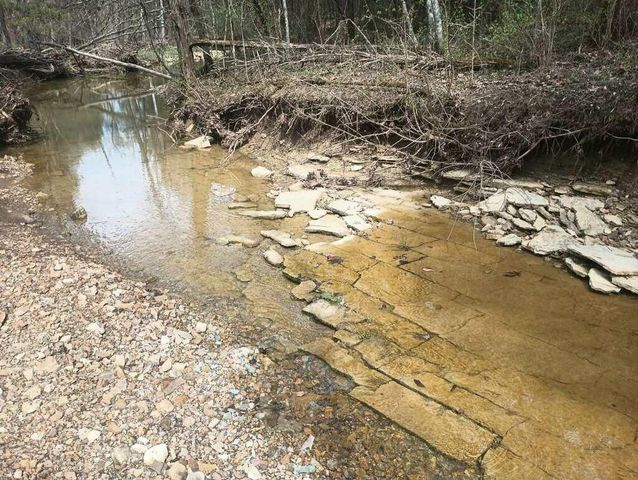 281 Adams Road, Owingsville, KY 40360