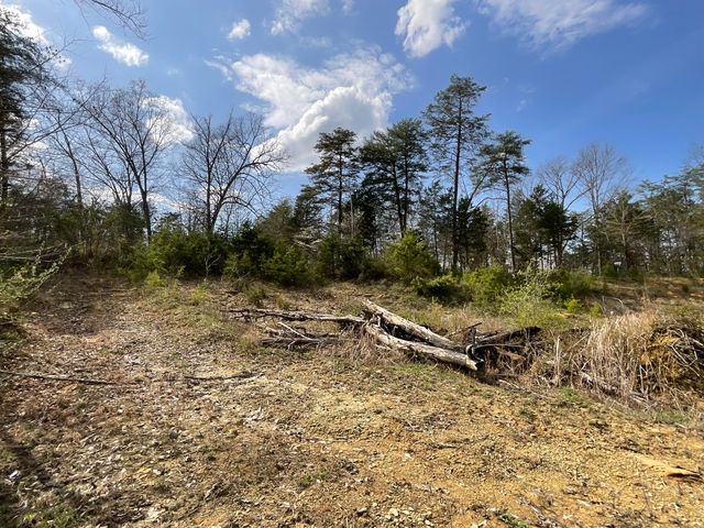 281 Adams Road, Owingsville, KY 40360