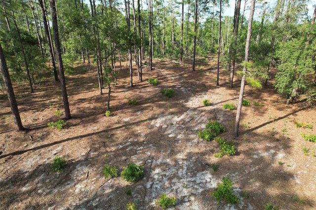 148TH COURT, Morriston, FL 32668