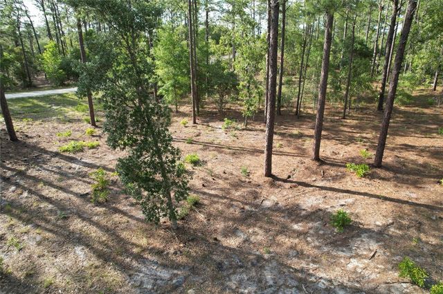 148TH COURT, Morriston, FL 32668