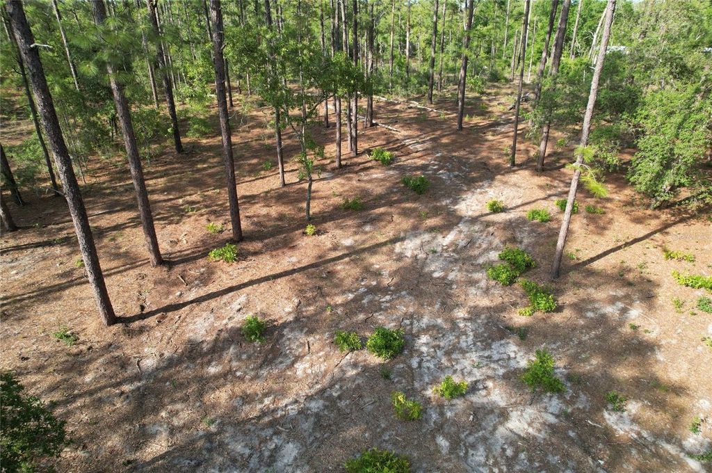 148TH COURT, Morriston, FL 32668