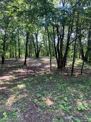 4 Sleaford-Parcel 4 - 32.92 Acres Road, Howell Township, MI 48843