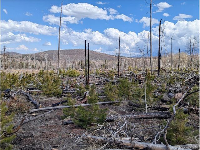 1945 Strauss Dr, Fort Garland, CO 81133