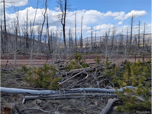 1945 Strauss Dr, Fort Garland, CO 81133