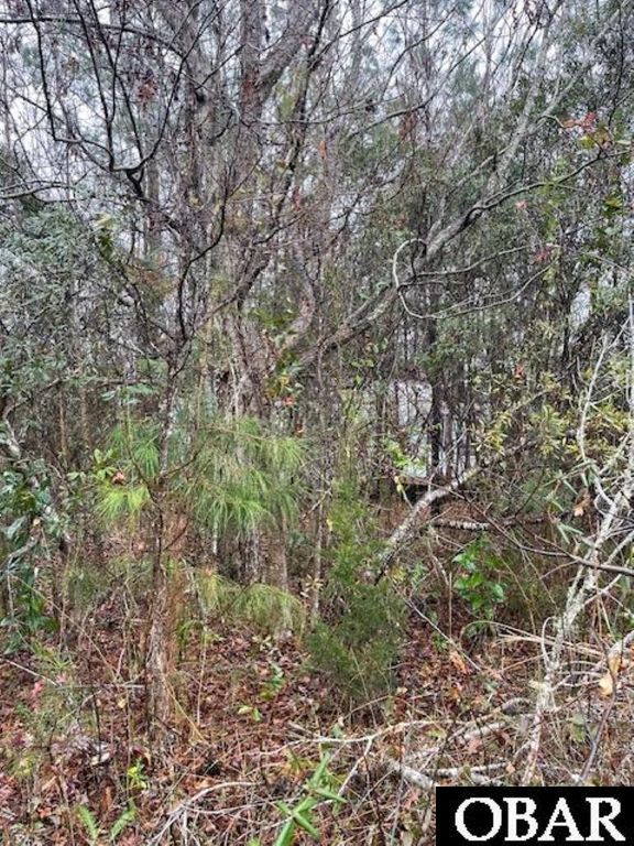 Image 1 of property listing at 19660 South Lake Drive Lot #22, East Lake, NC 27953