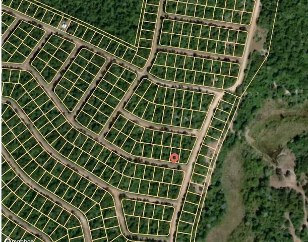 Lot 16 Burleson Drive, Normangee, TX 77871