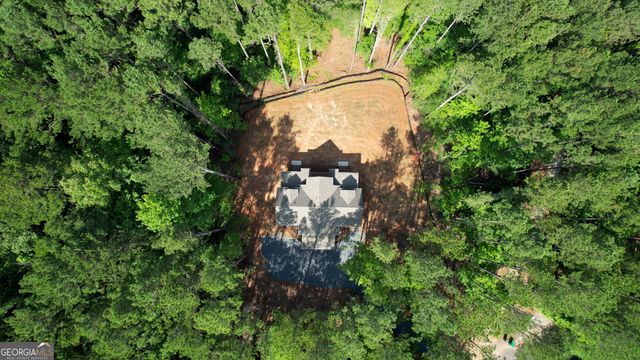 1010 Northwoods Point, Greensboro, GA 30642