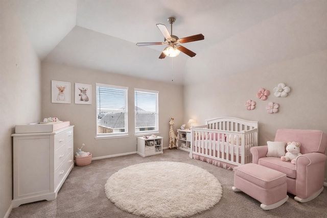 2903 Painted Sunrise Trail, Houston, TX 77045