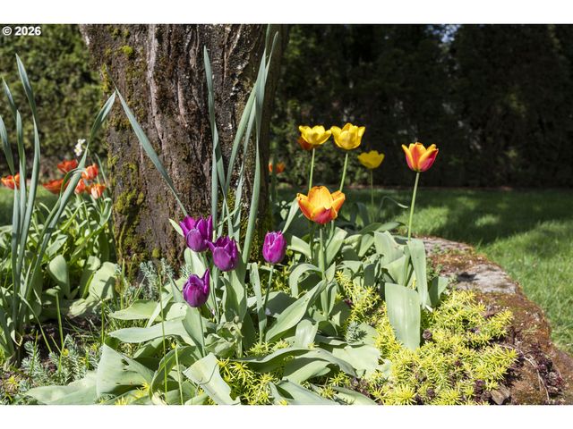 13218 Ne 24TH St, Vancouver, WA 98684