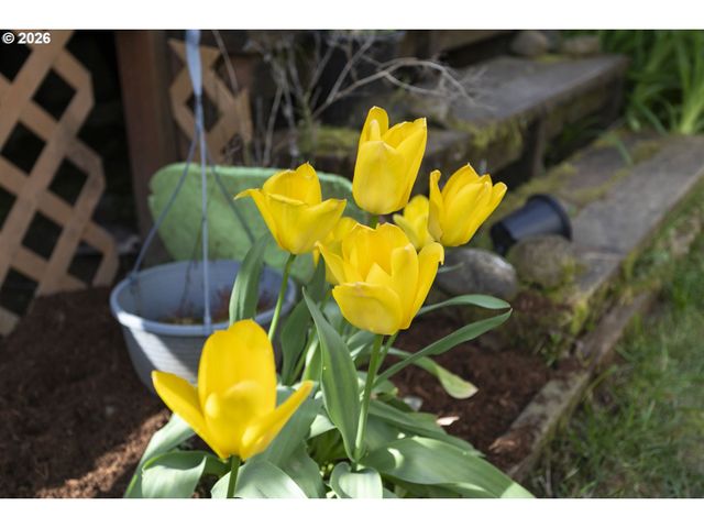 13218 Ne 24TH St, Vancouver, WA 98684