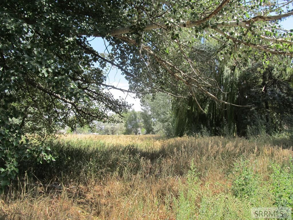 488 N 3435 E, Lewisville, ID 83431