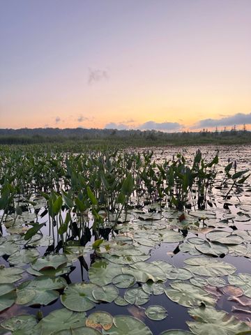 252 W Lake Drive, Cherry Grove Twp, MI 49601