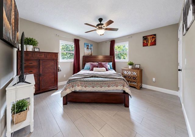 717 W DEER LAKE DRIVE, Lutz, FL 33548