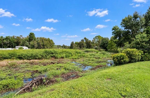 717 W DEER LAKE DRIVE, Lutz, FL 33548