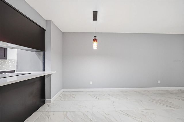 3919 PINE LIMB COURT, Tampa, FL 33614