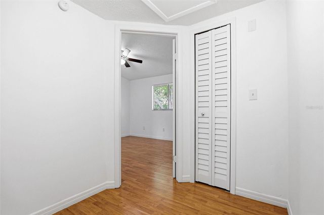 3919 PINE LIMB COURT, Tampa, FL 33614