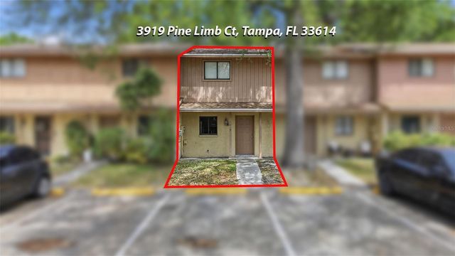 3919 PINE LIMB COURT, Tampa, FL 33614