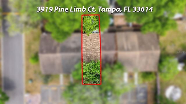 3919 PINE LIMB COURT, Tampa, FL 33614