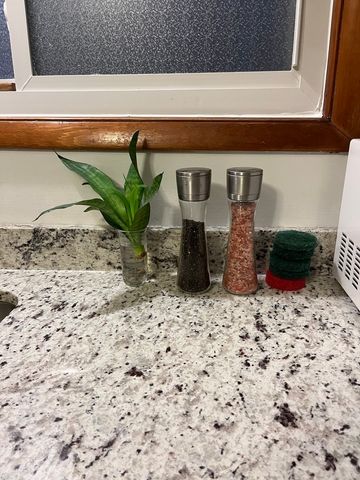 13515 S Baltimore Avenue, Chicago, IL 60633