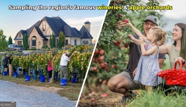 0 High River Road, Ellijay, GA 30540