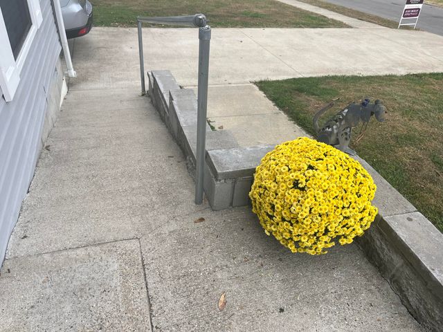 399 Blue Jay Circle, Falmouth, KY 41040