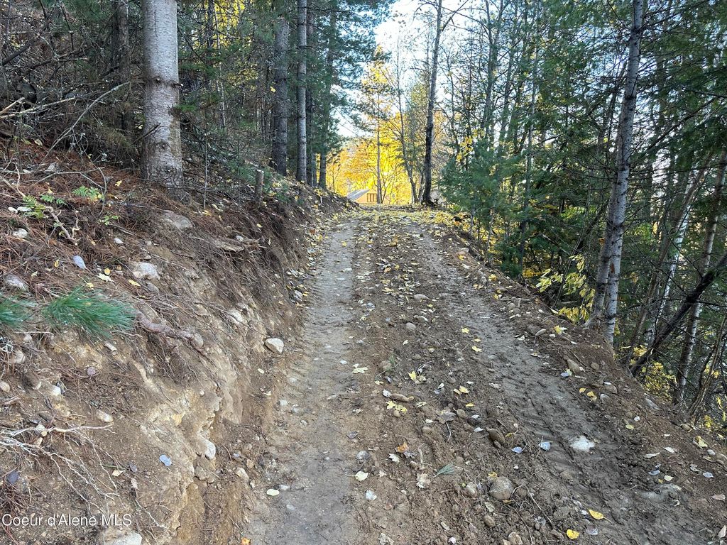 NKA Presley Ave, Kellogg, ID 83837 photo 11